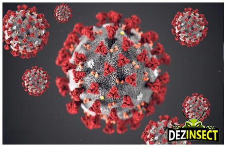 dezinfectie bucuresti coronavirus