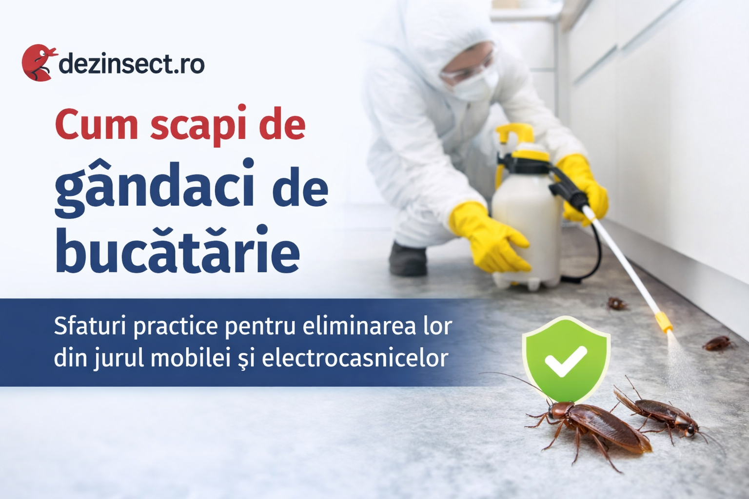 Cum scapi de gandaci de bucatarie - banner desktop