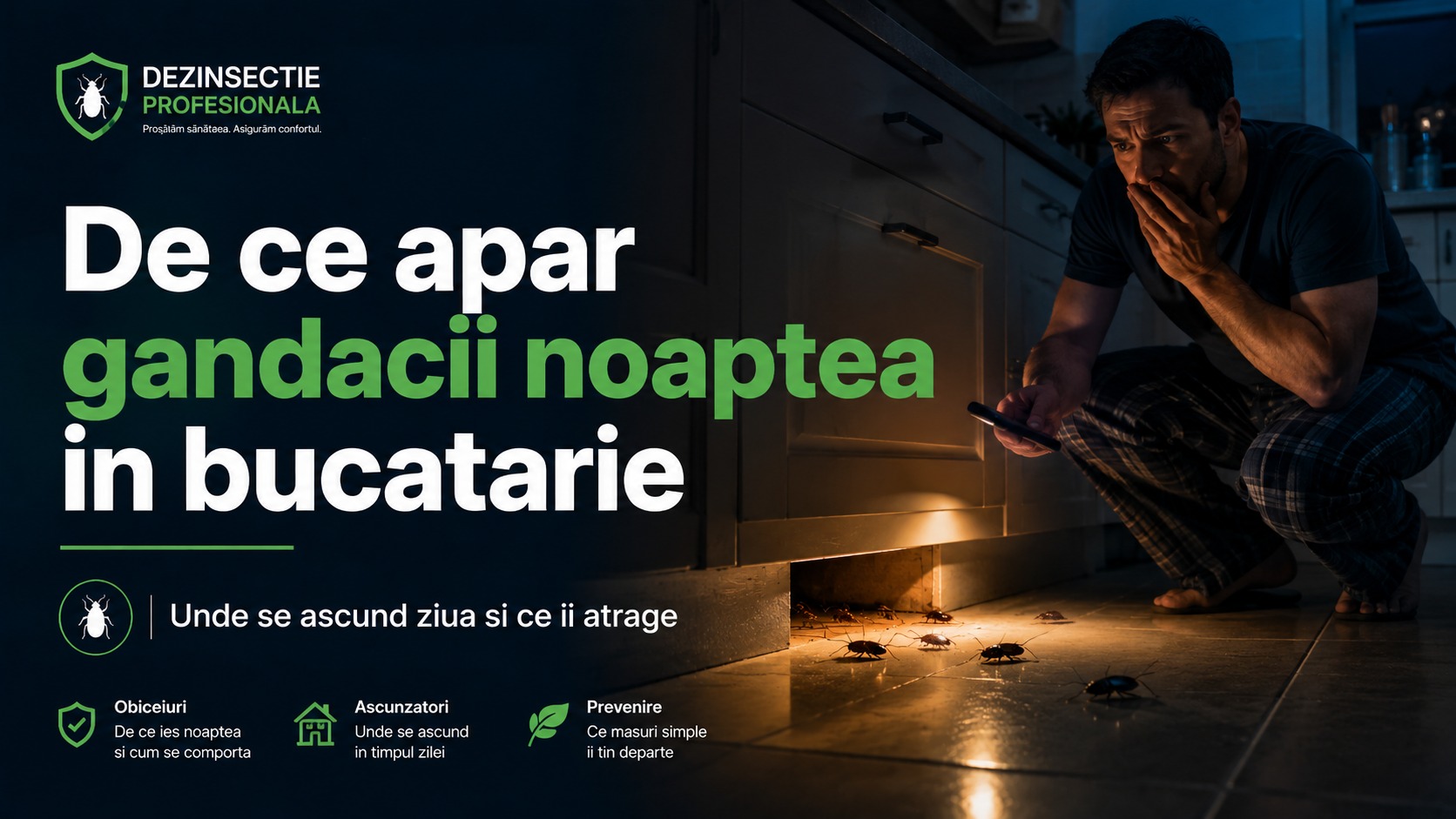 De ce apar gandacii noaptea - banner desktop