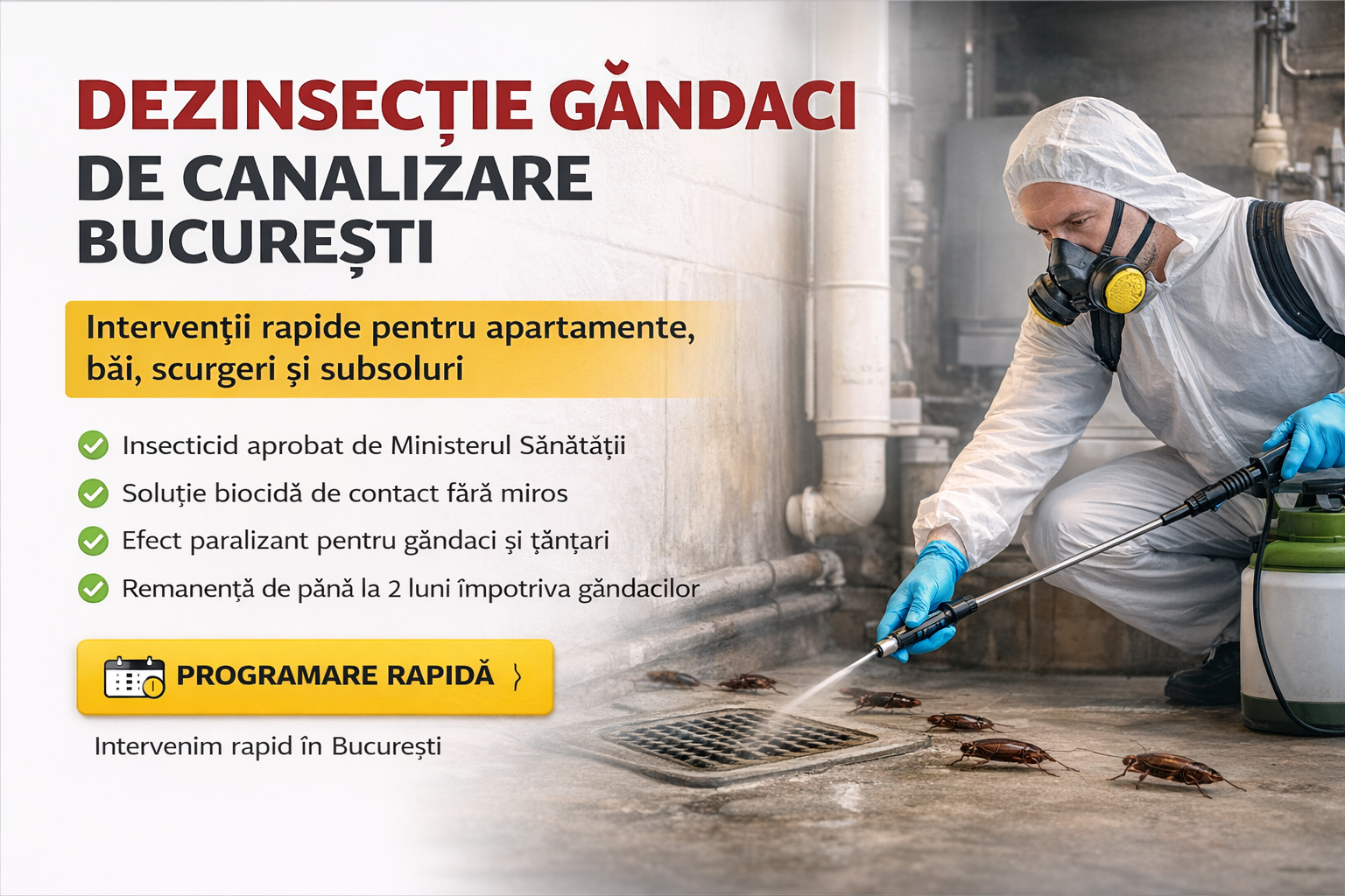 Dezinsectie gandaci de canalizare Bucuresti - banner desktop