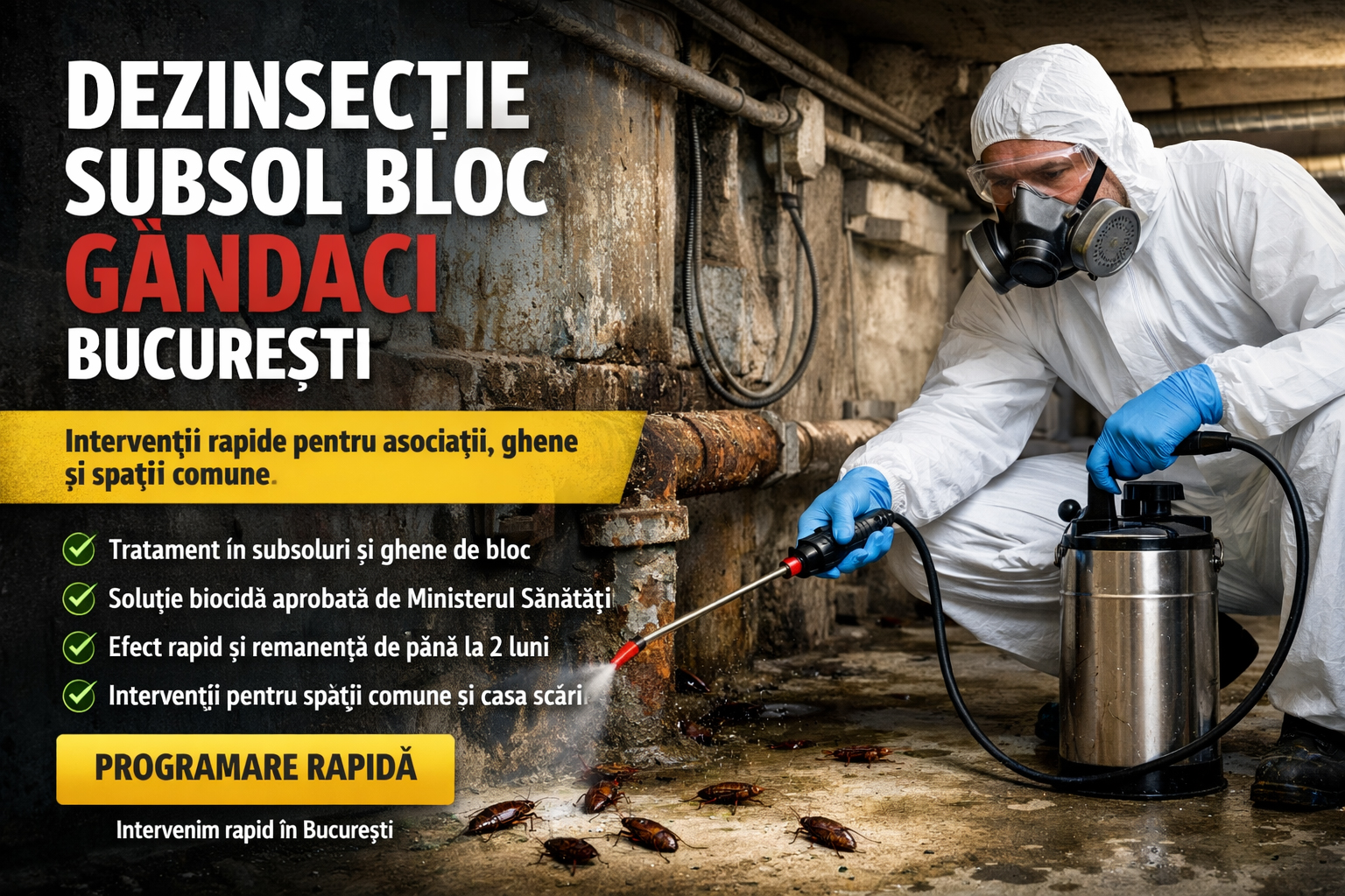 Dezinsectie subsol bloc gandaci Bucuresti - banner desktop
