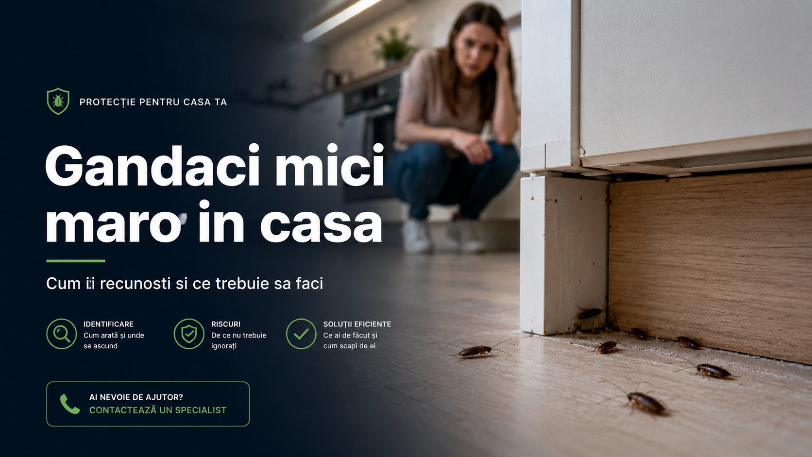Gandaci mici maro in casa - banner desktop