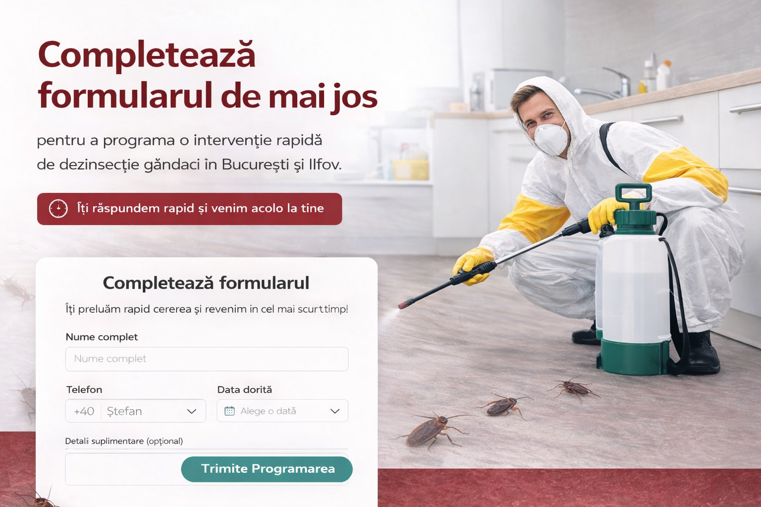 Programare dezinsectie - banner desktop