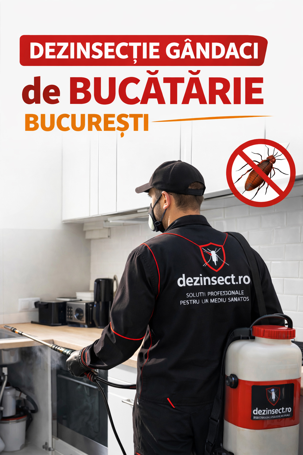 Dezinsectie gandaci de bucatarie Bucuresti - banner mobil
