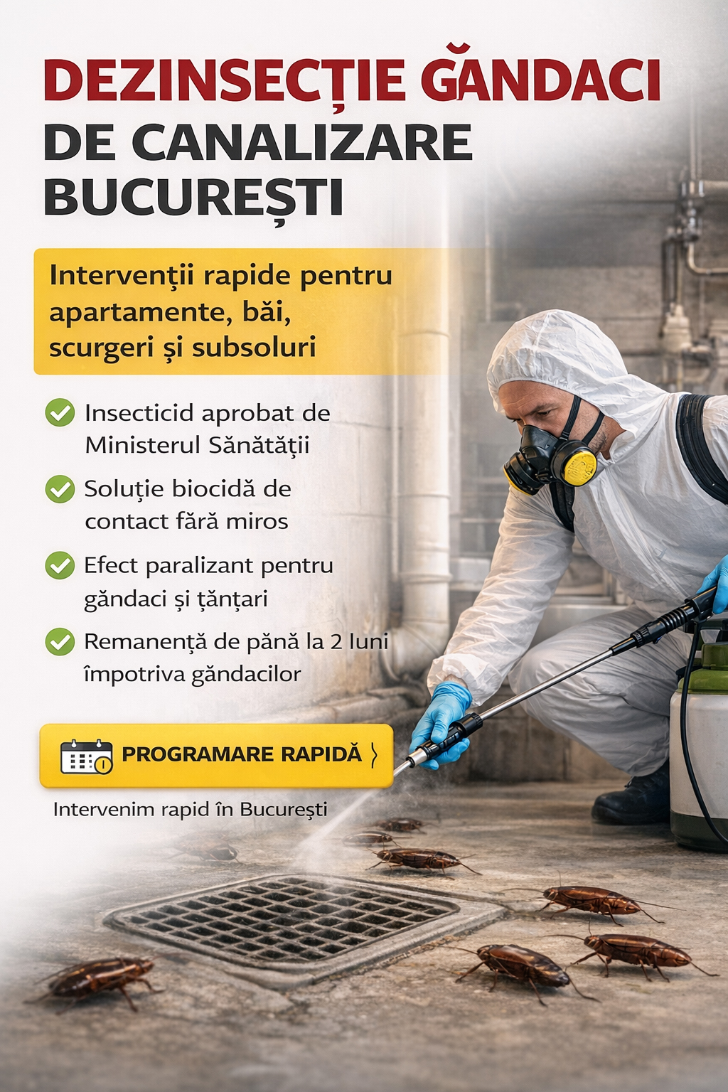Dezinsectie gandaci de canalizare Bucuresti - banner mobil