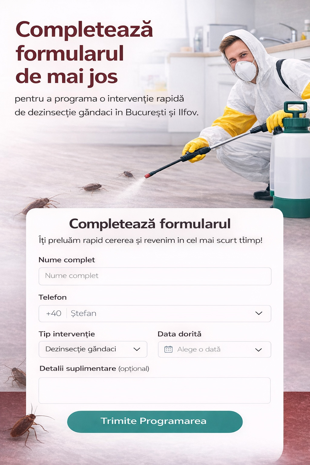 Programare dezinsectie - banner mobil